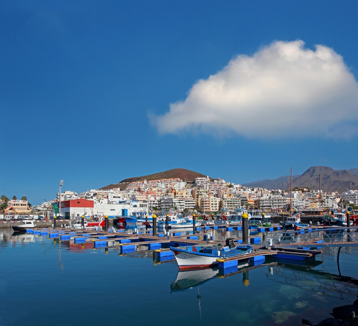 Paja Anémona de mar Gato de salto Los Cristianos - a popular seaside tourist resort in Tenerife South