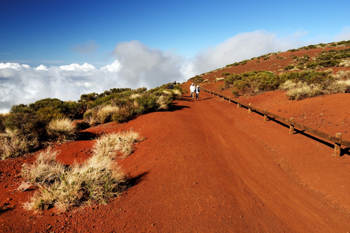 Road in Teide National Park, Tenerife, Canary Islands, Spain